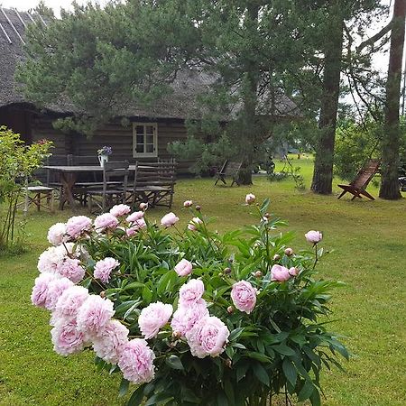 Maenni Summerhouse Kassari Kültér fotó